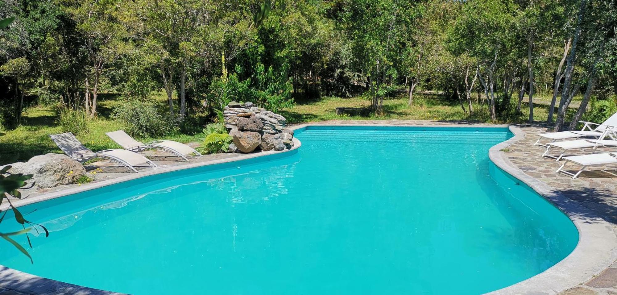 Bambu Lodge Pucón Eksteriør billede
