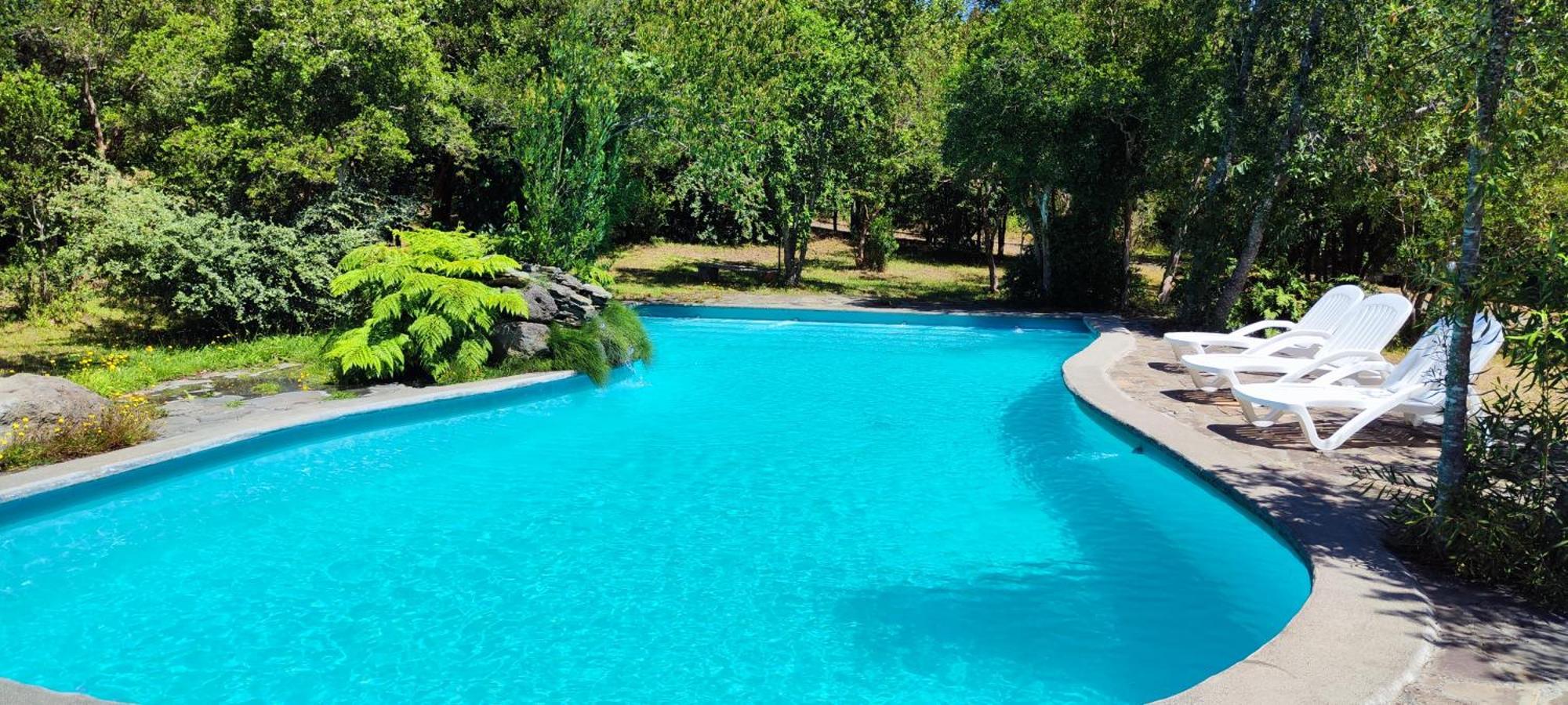 Bambu Lodge Pucón Eksteriør billede